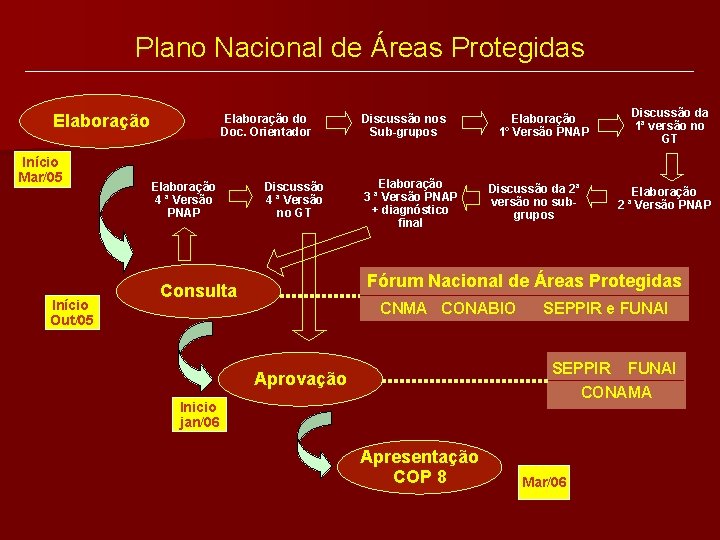 Plano Nacional de Áreas Protegidas Elaboração Início Mar/05 Início Out/05 Elaboração do Doc. Orientador