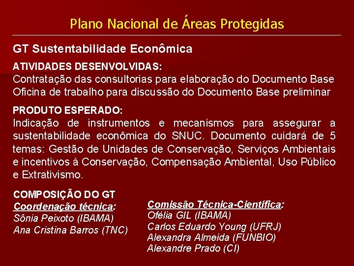 Plano Nacional de Áreas Protegidas GT Sustentabilidade Econômica ATIVIDADES DESENVOLVIDAS: Contratação das consultorias para
