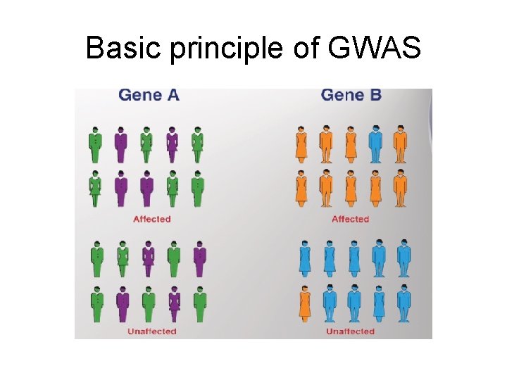 Basic principle of GWAS 