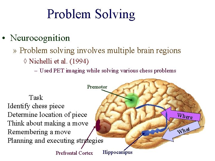 Problem Solving • Neurocognition » Problem solving involves multiple brain regions ◊ Nichelli et