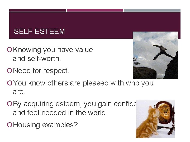 SELF-ESTEEM Knowing you have value and self-worth. Need for respect. You know others are