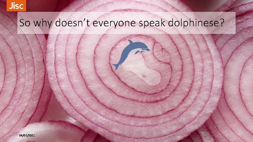 So why doesn’t everyone speak dolphinese? 04/03/2021 