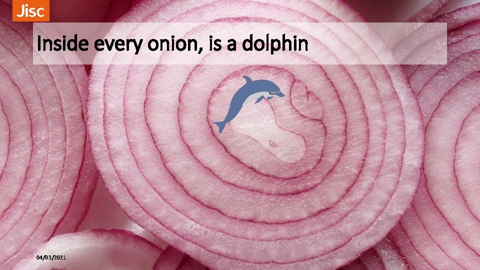 Inside every onion, is a dolphin 04/03/2021 