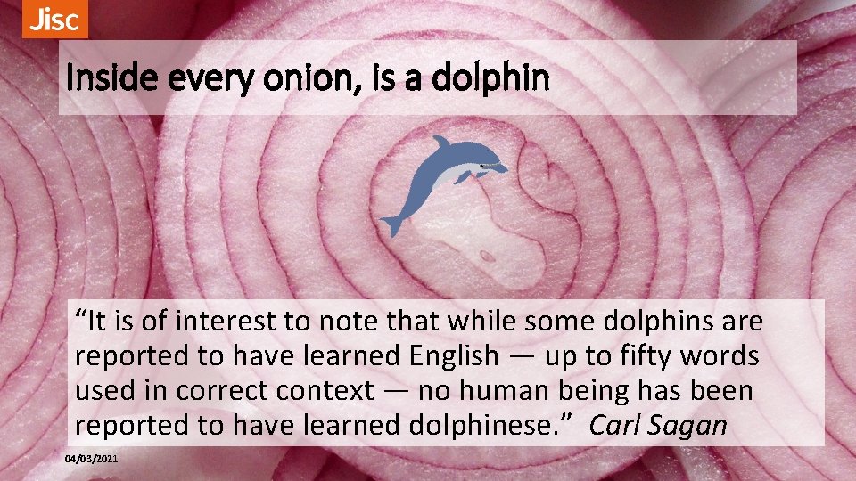 Inside every onion, is a dolphin “It is of interest to note that while