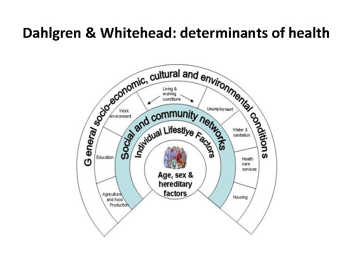 Dahlgren & Whitehead: determinants of health 