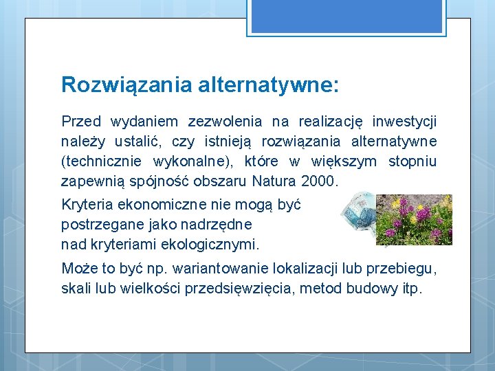 Rozwiązania alternatywne: Przed wydaniem zezwolenia na realizację inwestycji należy ustalić, czy istnieją rozwiązania alternatywne