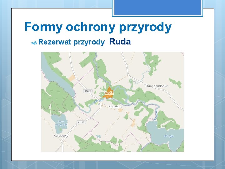 Formy ochrony przyrody Rezerwat przyrody Ruda 