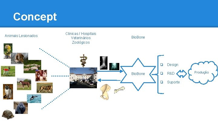 Concept Animais Lesionados Clinicas / Hospitais Veterinários Zoológicos Bio. Bone ❏ Design Bio. Bone