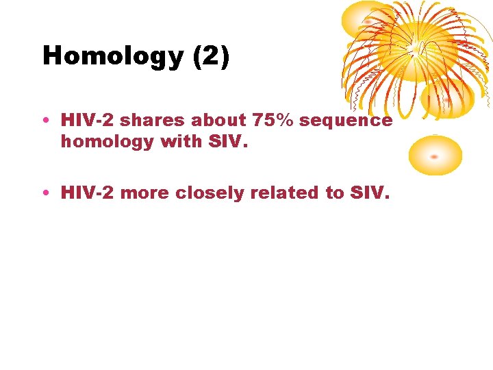 Homology (2) • HIV-2 shares about 75% sequence homology with SIV. • HIV-2 more