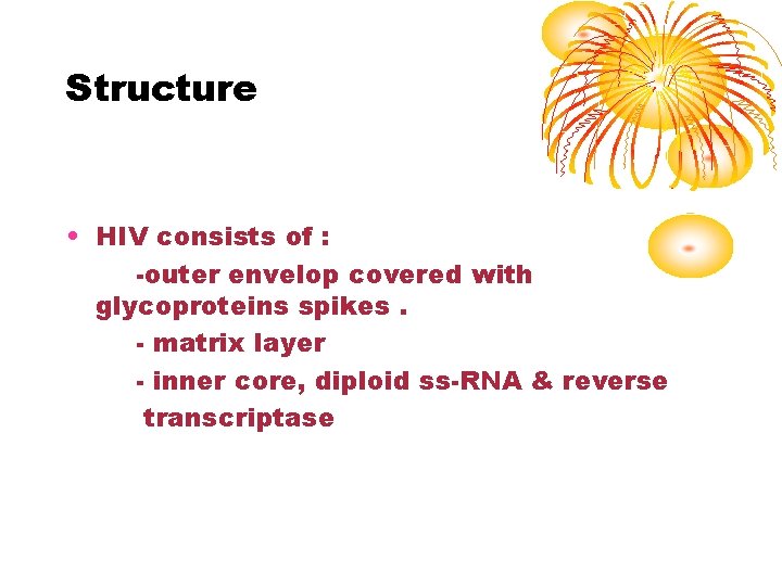 Structure • HIV consists of : -outer envelop covered with glycoproteins spikes. - matrix