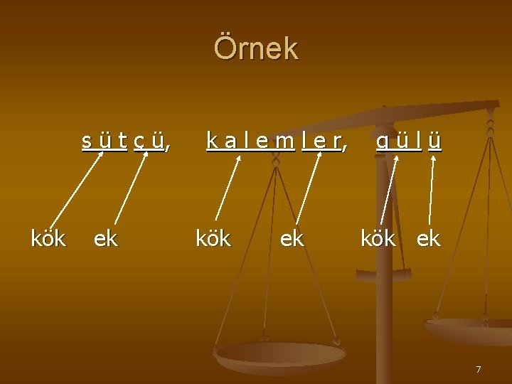 Örnek s ü t ç ü, kök ek k a l e m l