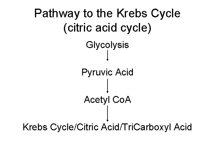 Pathway to the Krebs Cycle (citric acid cycle) Glycolysis Pyruvic Acid Acetyl Co. A