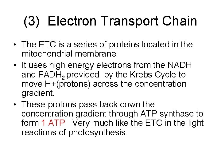 (3) Electron Transport Chain • The ETC is a series of proteins located in