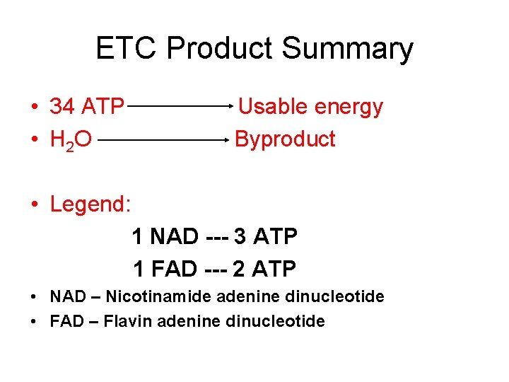 ETC Product Summary • 34 ATP • H 2 O Usable energy Byproduct •