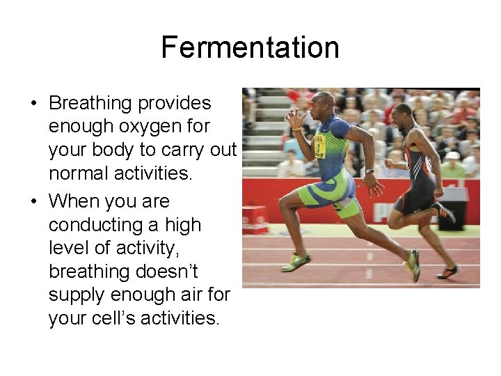 Fermentation • Breathing provides enough oxygen for your body to carry out normal activities.