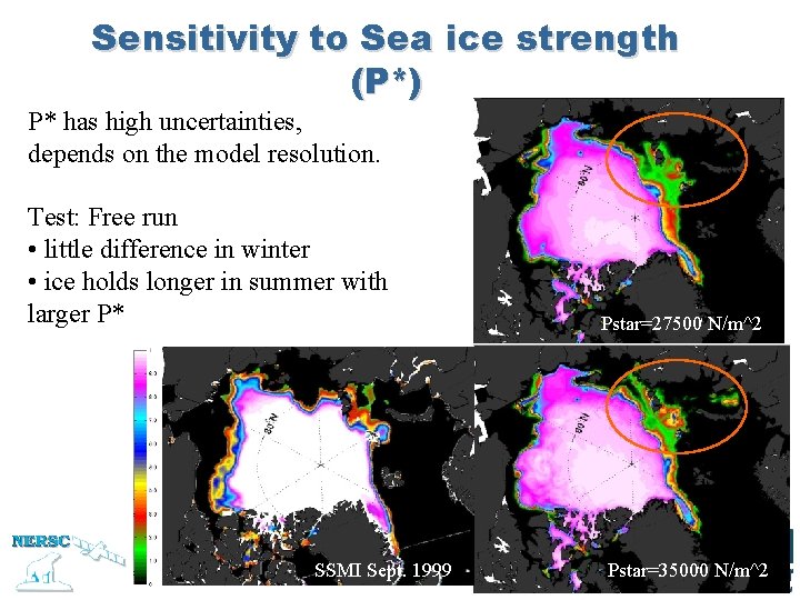 Sensitivity to Sea ice strength (P*) P* has high uncertainties, depends on the model