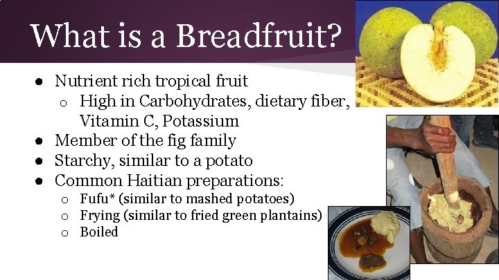 What is a Breadfruit? ● Nutrient rich tropical fruit o High in Carbohydrates, dietary