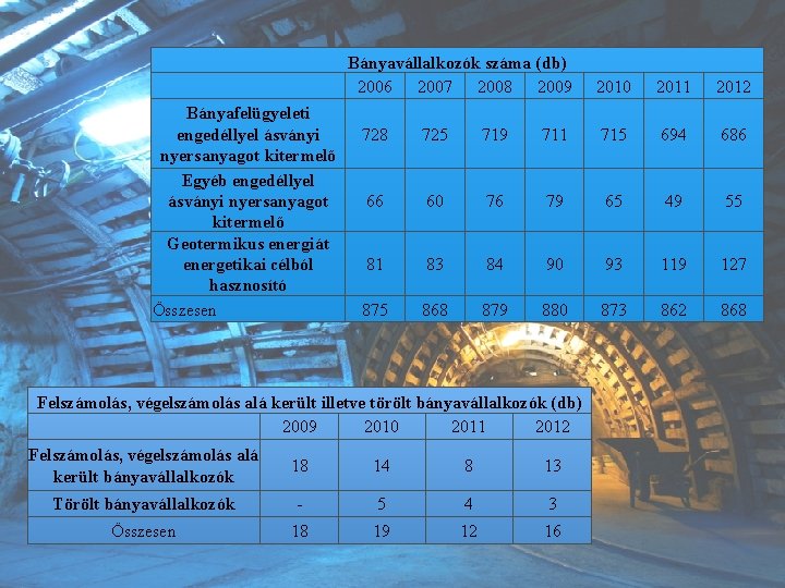 Bányavállalkozók száma (db) 2006 2007 2008 2009 Bányafelügyeleti engedéllyel ásványi nyersanyagot kitermelő Egyéb engedéllyel