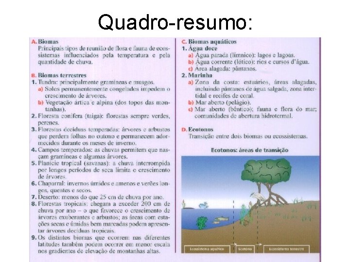 Quadro-resumo: 