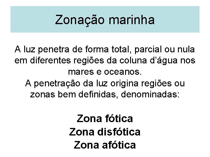 Zonação marinha A luz penetra de forma total, parcial ou nula em diferentes regiões