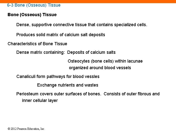 6 -3 Bone (Osseous) Tissue Dense, supportive connective tissue that contains specialized cells. Produces