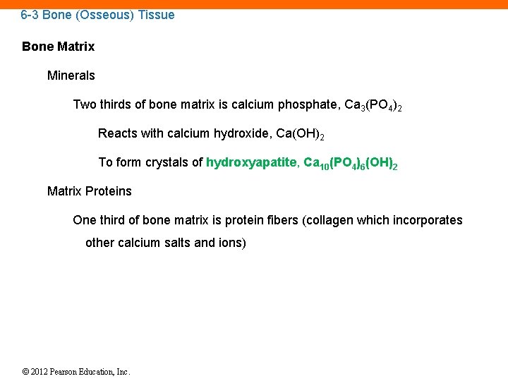 6 -3 Bone (Osseous) Tissue Bone Matrix Minerals Two thirds of bone matrix is