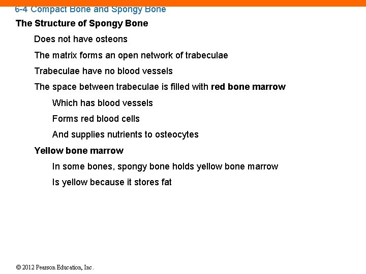 6 -4 Compact Bone and Spongy Bone The Structure of Spongy Bone Does not