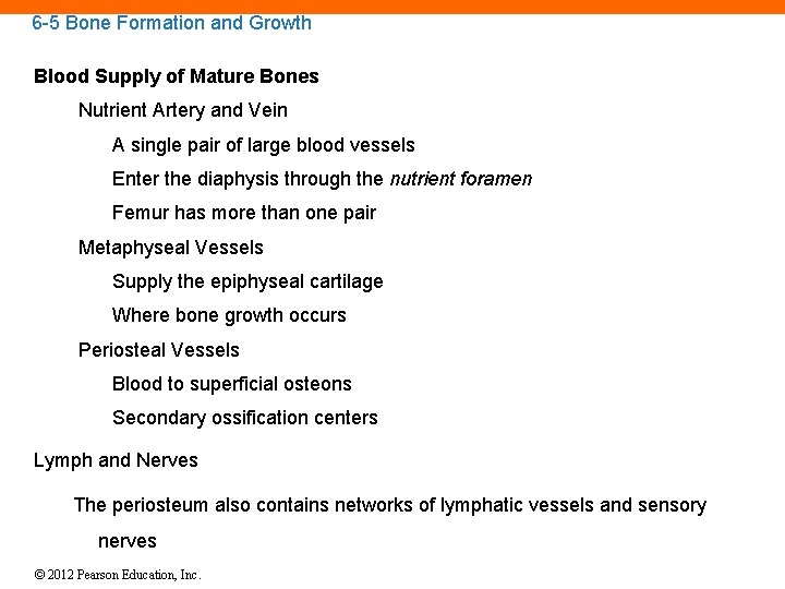 6 -5 Bone Formation and Growth Blood Supply of Mature Bones Nutrient Artery and