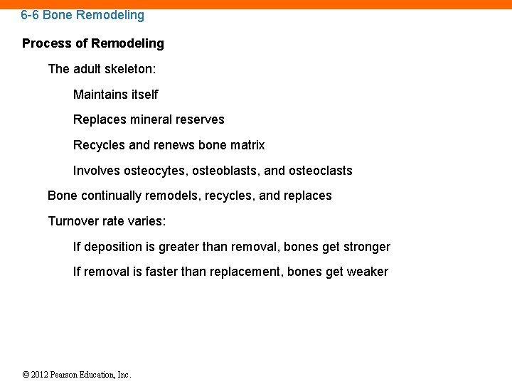 6 -6 Bone Remodeling Process of Remodeling The adult skeleton: Maintains itself Replaces mineral