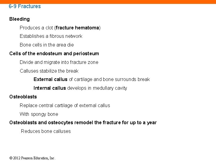6 -9 Fractures Bleeding Produces a clot (fracture hematoma) Establishes a fibrous network Bone