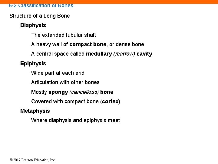 6 -2 Classification of Bones Structure of a Long Bone Diaphysis The extended tubular