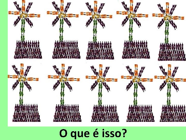 O que é isso? 