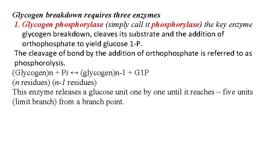 Glycogen breakdown requires three enzymes 1. Glycogen phosphorylase (simply call it phosphorylase) the key
