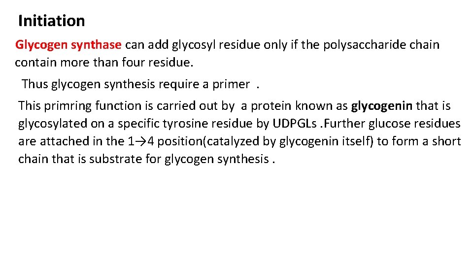 Initiation Glycogen synthase can add glycosyl residue only if the polysaccharide chain contain more