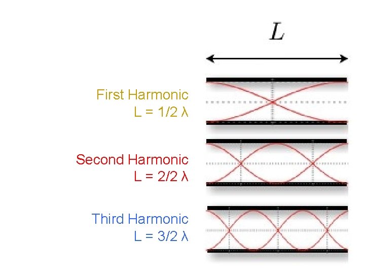 First Harmonic L = 1/2 λ Second Harmonic L = 2/2 λ Third Harmonic