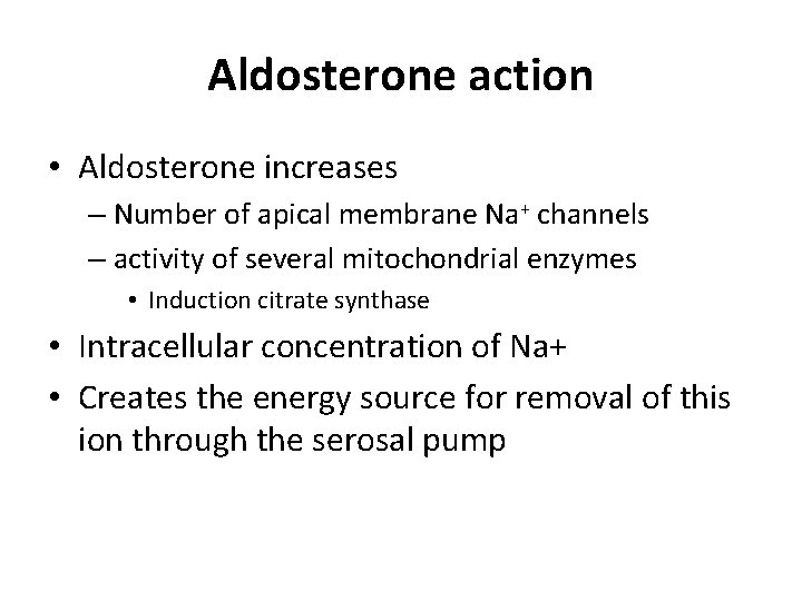 Aldosterone action • Aldosterone increases – Number of apical membrane Na+ channels – activity