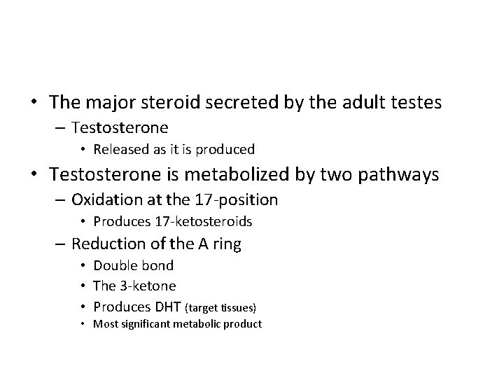  • The major steroid secreted by the adult testes – Testosterone • Released