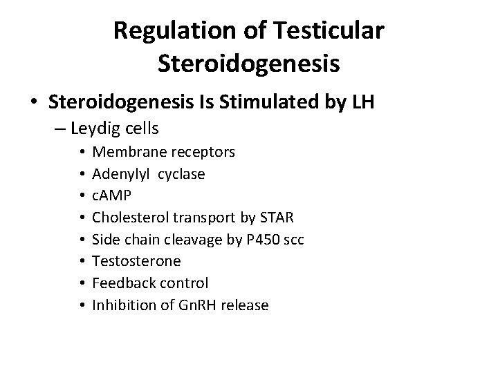 Regulation of Testicular Steroidogenesis • Steroidogenesis Is Stimulated by LH – Leydig cells •