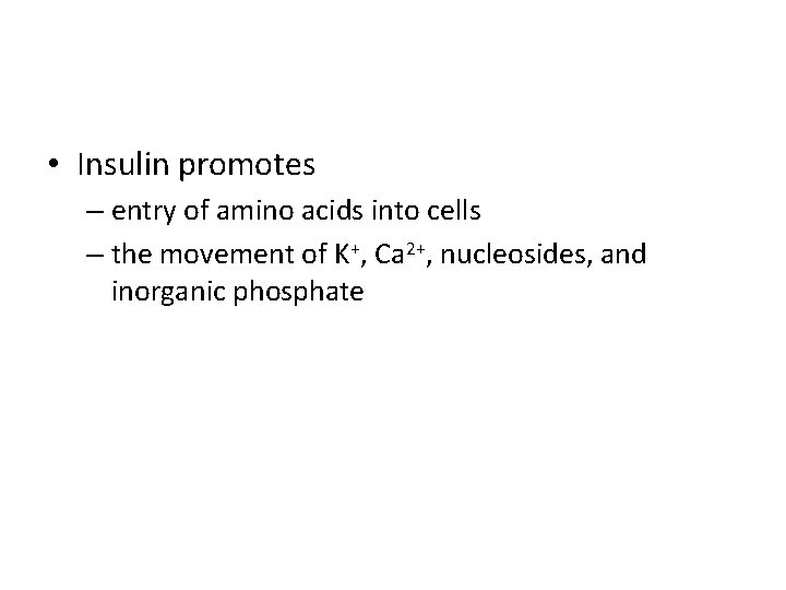  • Insulin promotes – entry of amino acids into cells – the movement