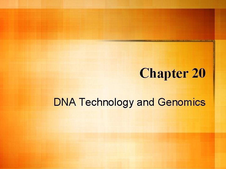 Chapter 20 Dna Technology And Genomics Dna As