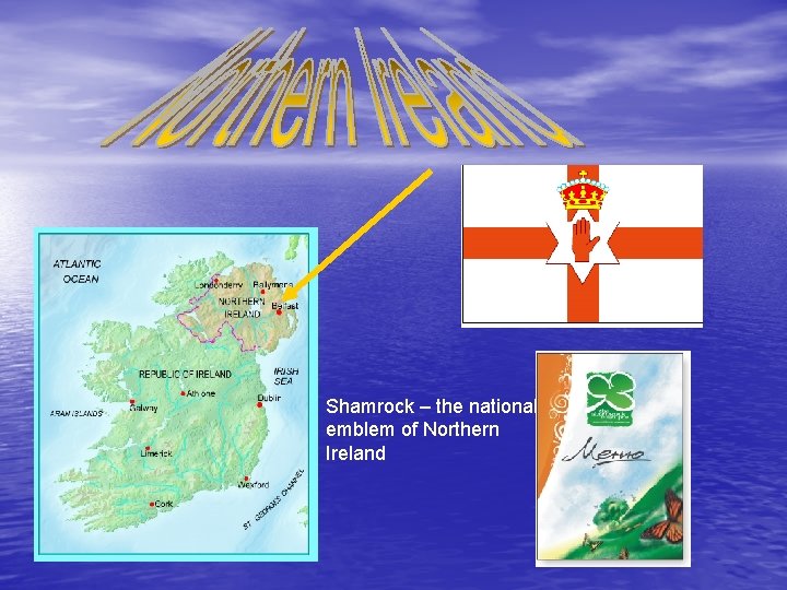 Shamrock – the national emblem of Northern Ireland 