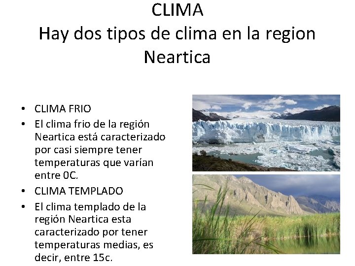 CLIMA Hay dos tipos de clima en la region Neartica • CLIMA FRIO •