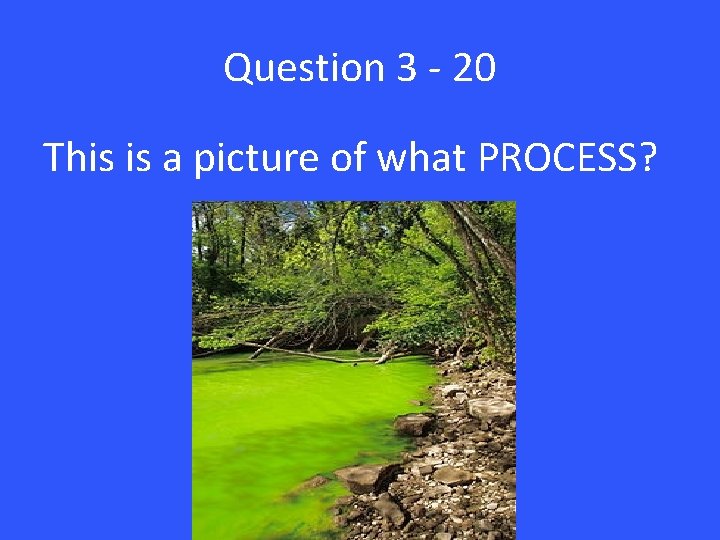 Question 3 - 20 This is a picture of what PROCESS? 