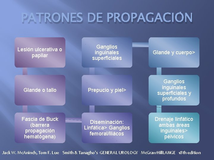 PATRONES DE PROPAGACIÓN Ganglios inguinales superficiales Glande y cuerpo> Glande o tallo Prepucio y