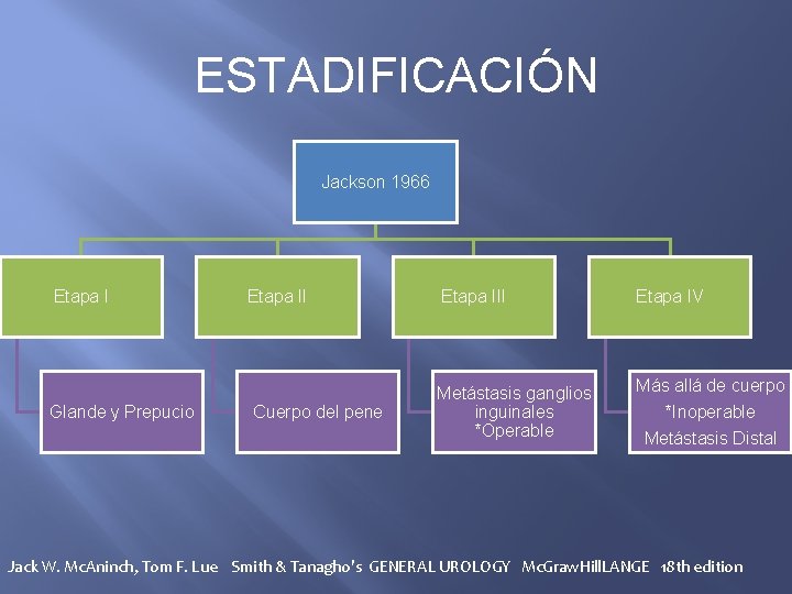 ESTADIFICACIÓN Jackson 1966 Etapa I Glande y Prepucio Etapa II Cuerpo del pene Etapa