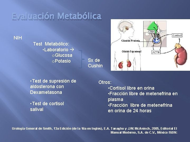 Evaluación Metabólica NIH Test Metabólico: • Laboratorio o. Glucosa o. Potasio • Test de