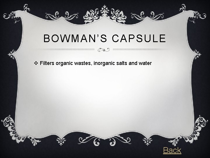 BOWMAN’S CAPSULE v Filters organic wastes, inorganic salts and water Back 