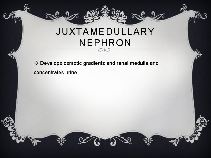 JUXTAMEDULLARY NEPHRON v Develops osmotic gradients and renal medulla and concentrates urine. 