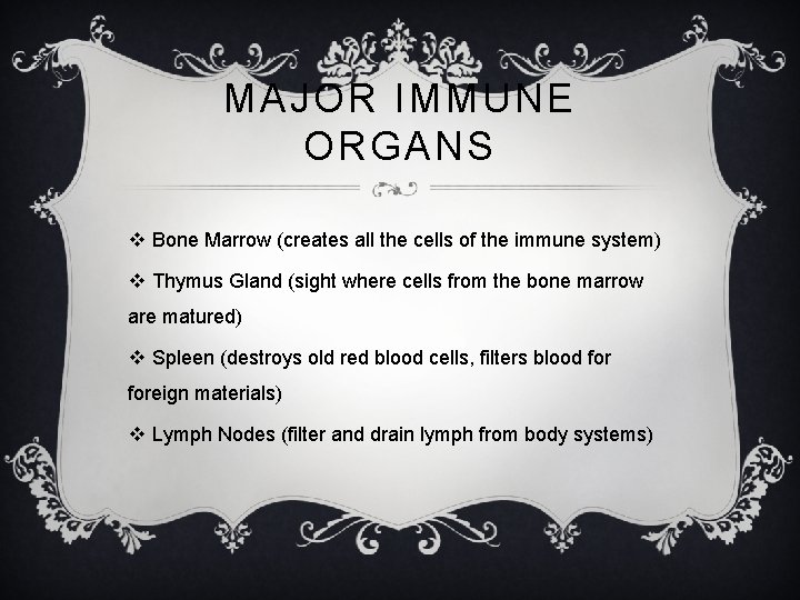 MAJOR IMMUNE ORGANS v Bone Marrow (creates all the cells of the immune system)