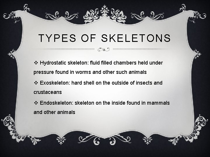 TYPES OF SKELETONS v Hydrostatic skeleton: fluid filled chambers held under pressure found in